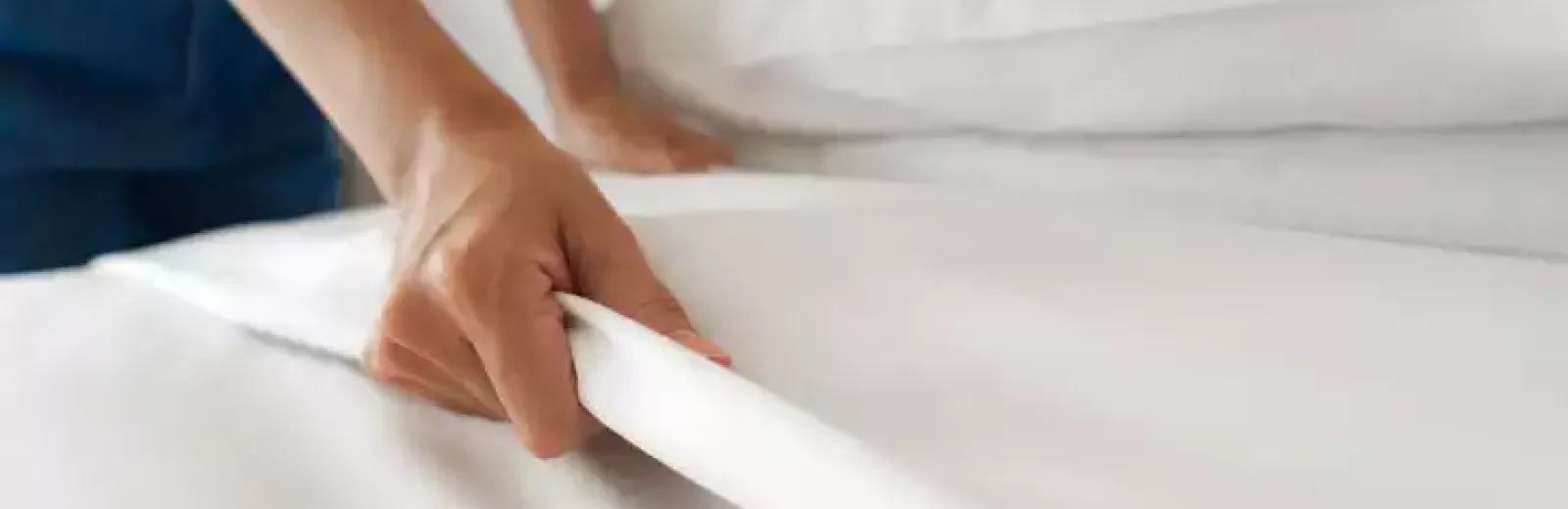 bed_bug
