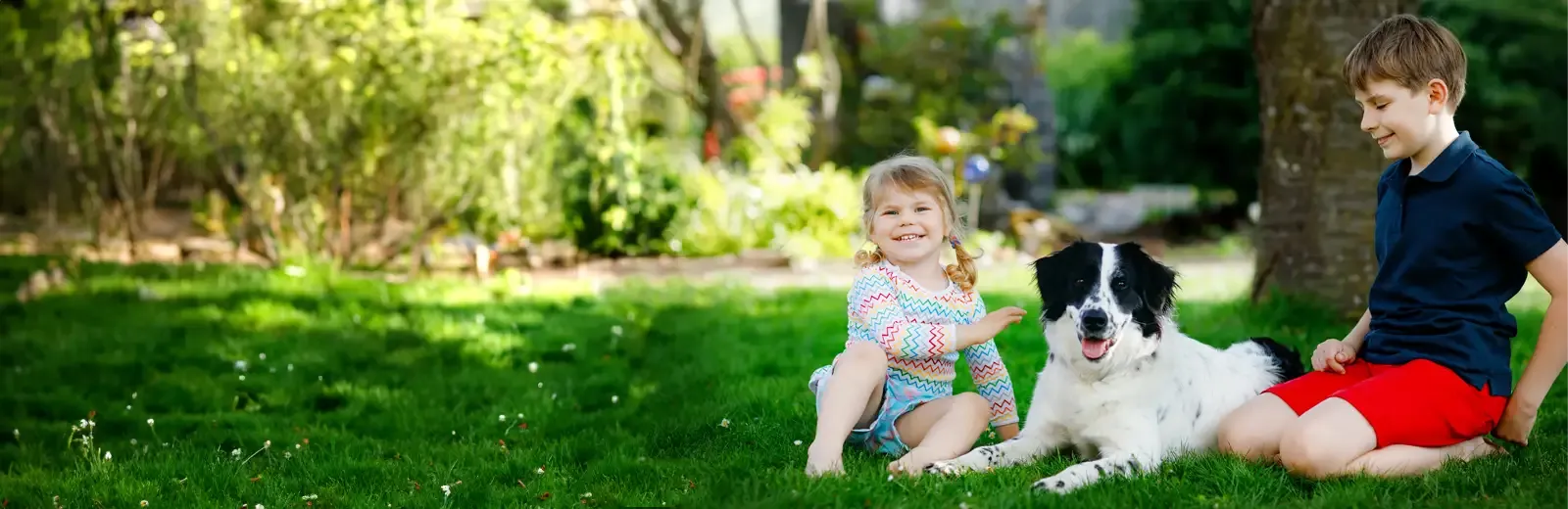 kids playing with dog outside mosquito free lawn
